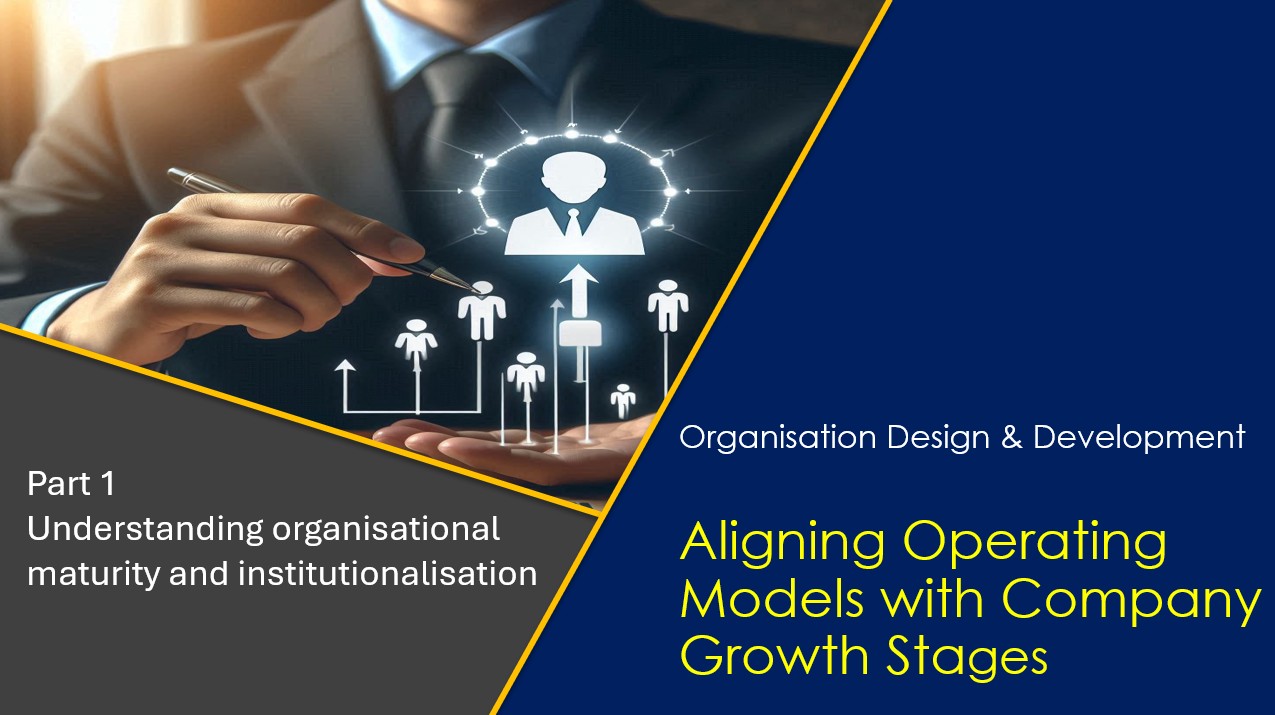 Understanding organisational maturity and institutionalisation